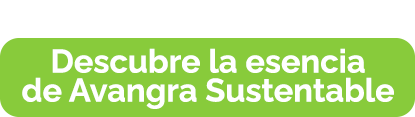 Fondo-avangra-sustentableboton.png